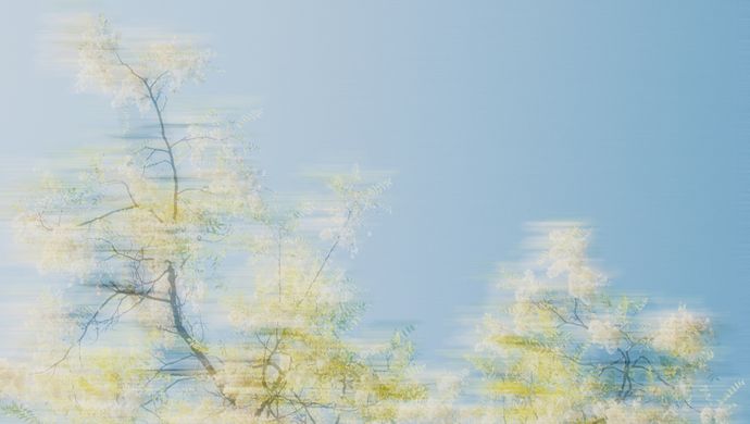 Spring Equinox