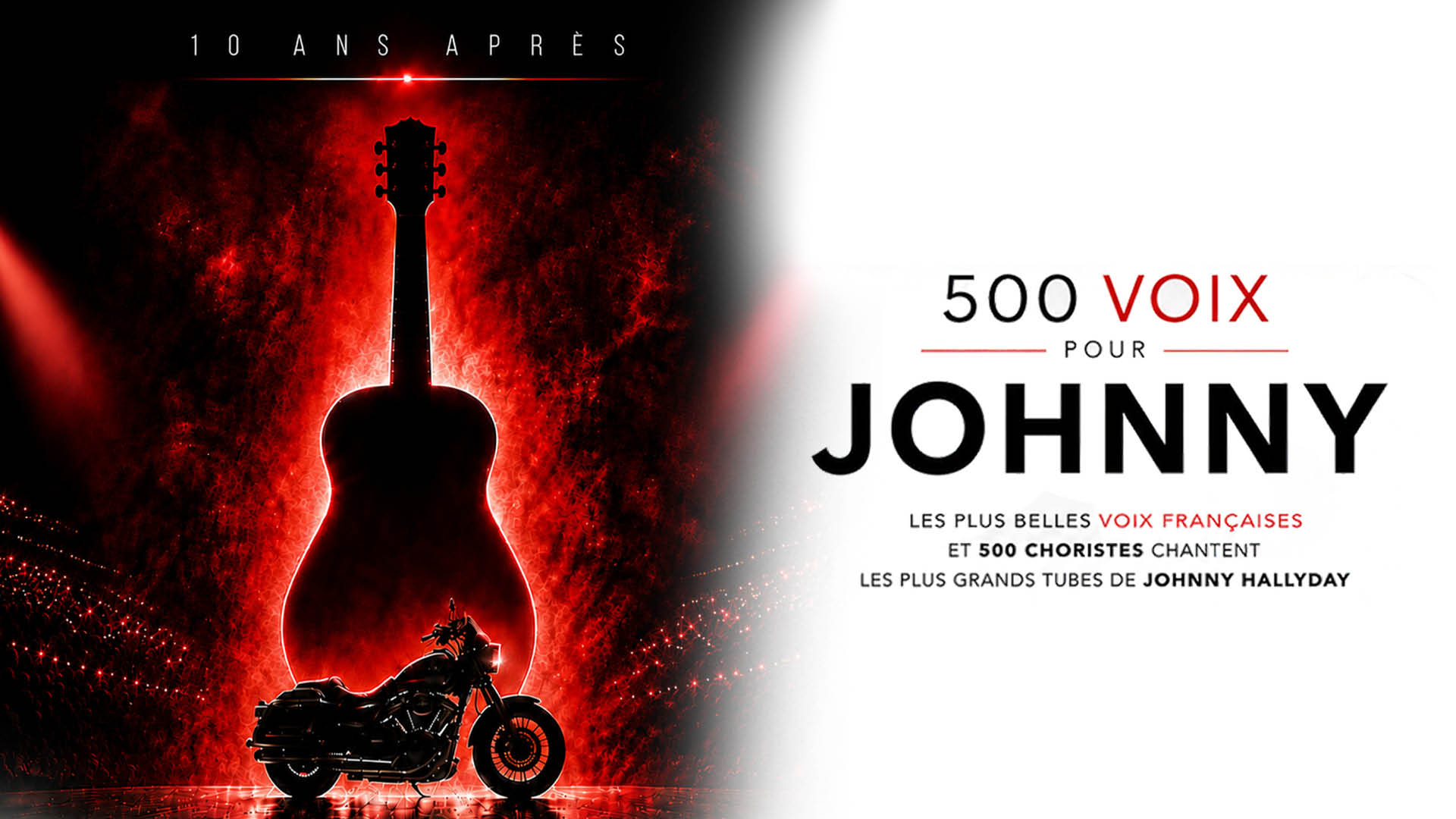 500 VOIX POUR JOHNNY