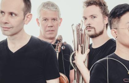 Quatuor Diotima