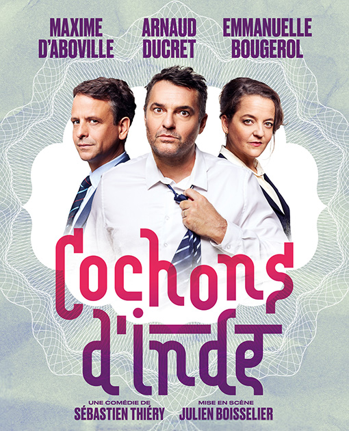 " COCHONS D'INDE "