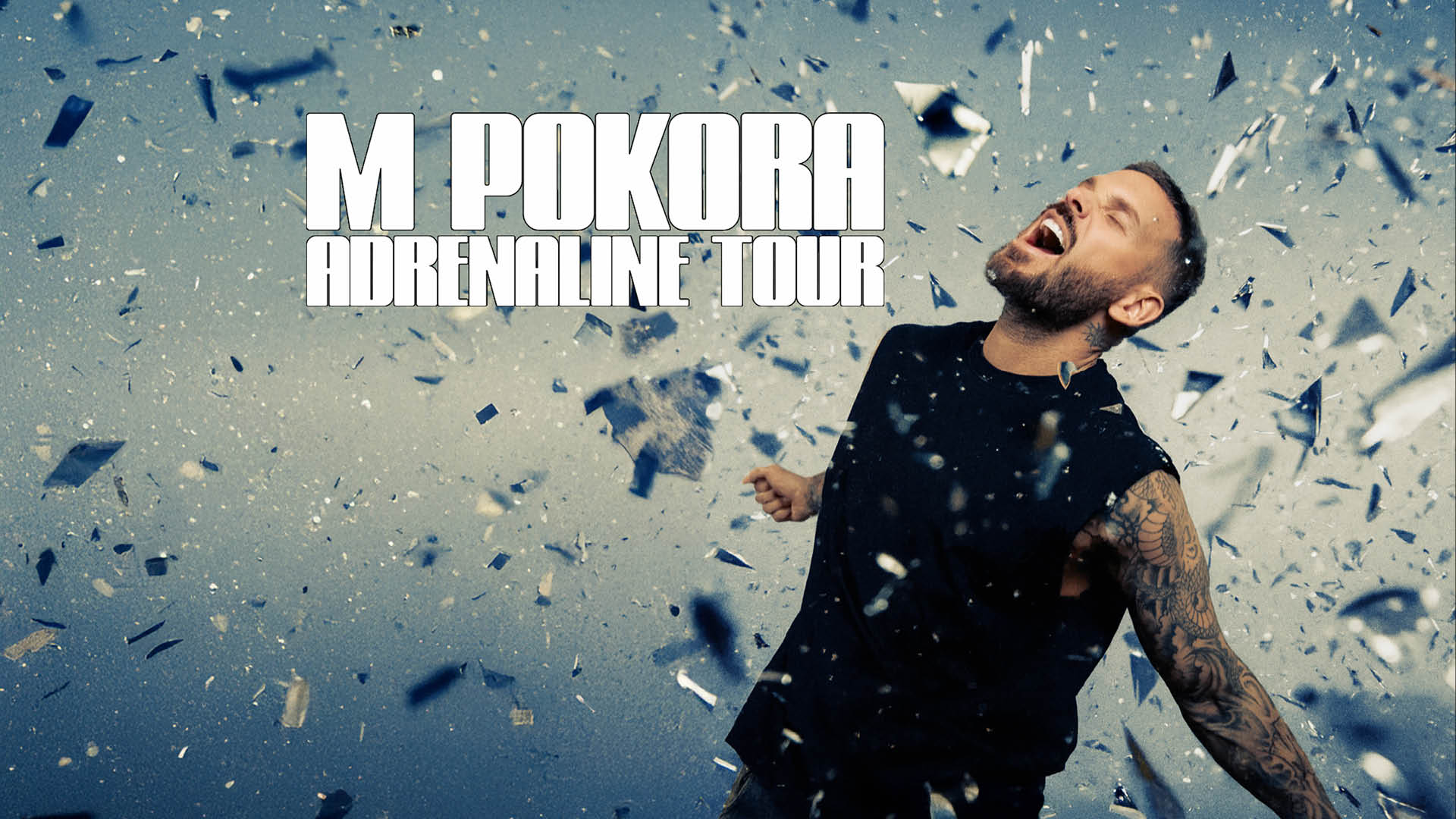 M. Pokora