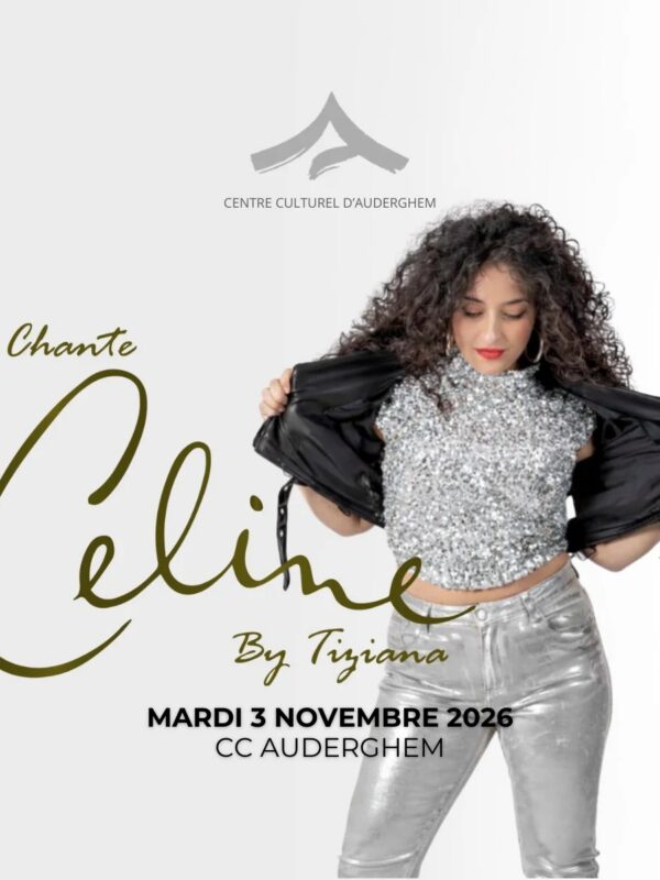 Le spectacle hommage à Céline Dion