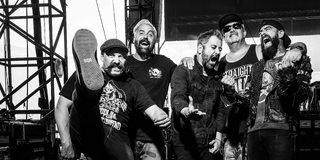 Zebrahead