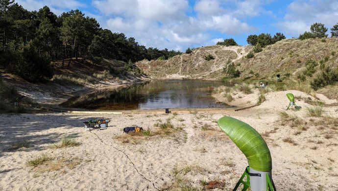 Calling Songs
